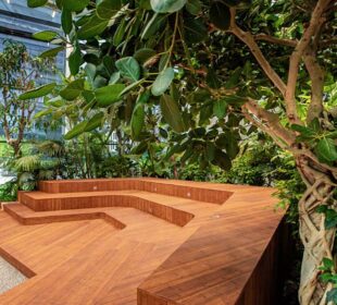 Cultivating Connection: Exotic Workplace Garden