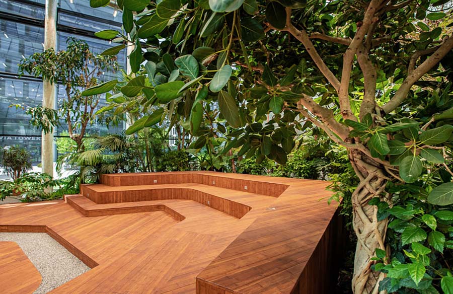 Cultivating Connection: Exotic Workplace Garden